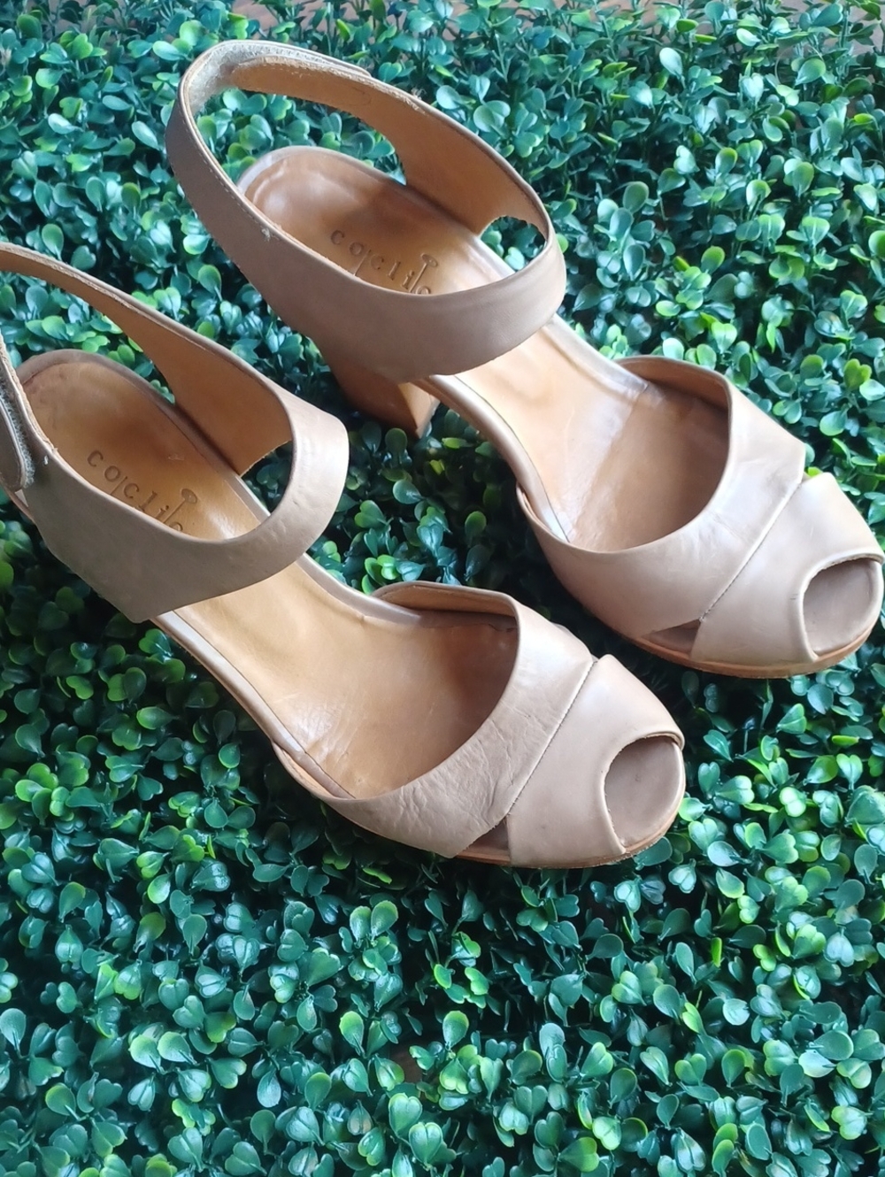 Coclico Leather Chunky Sandals